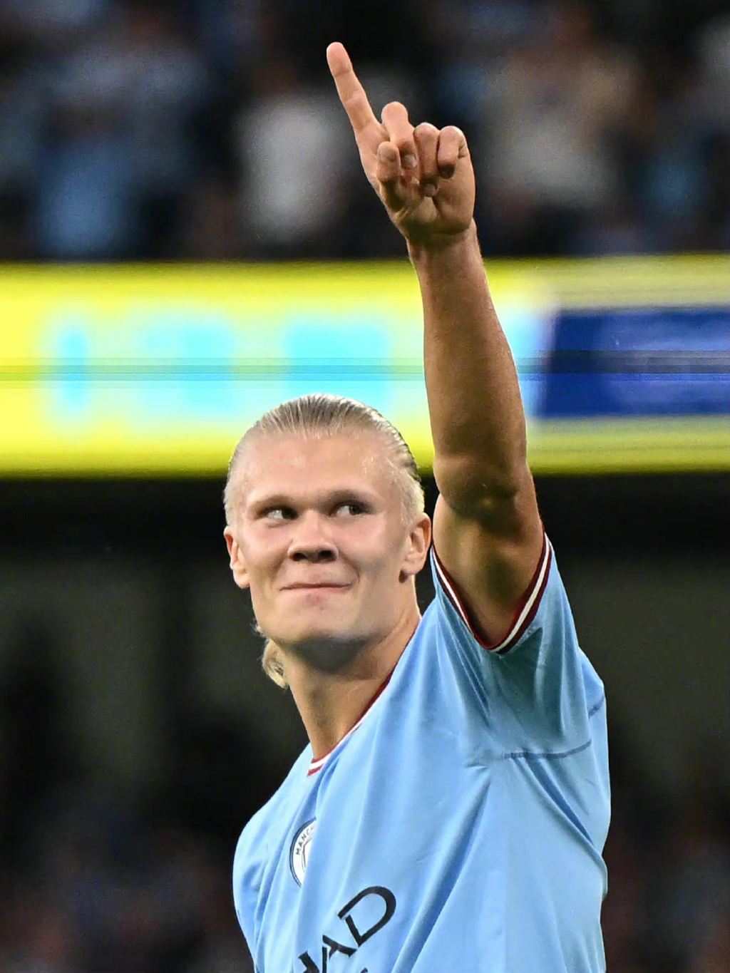 品类层面 品类层面