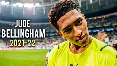 训练营里的 训练营里的